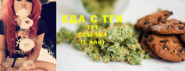 индика Михайловка