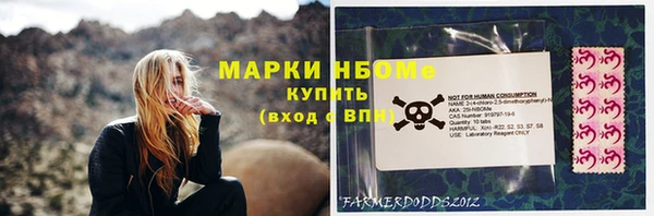 индика Михайловка