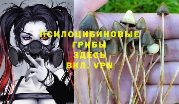 индика Михайловка