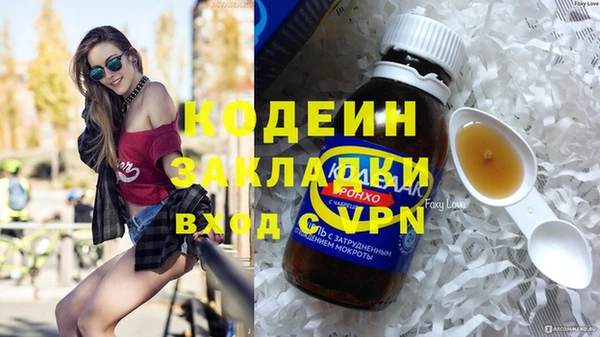 индика Михайловка