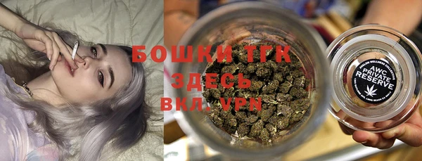 индика Михайловка
