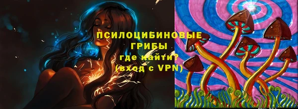 индика Михайловка