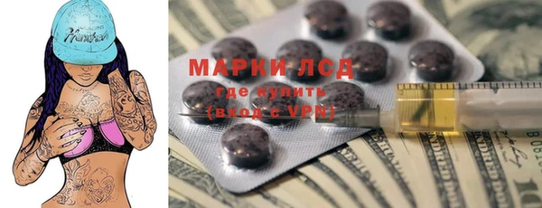 индика Михайловка